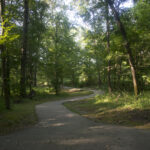 Pinnacle Mountain State Park Arkansas Kingfisher Trail