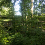 Pinnacle Mountain State Park Arkansas Kingfisher Trail