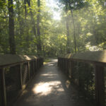 Pinnacle Mountain State Park Arkansas Kingfisher Trail