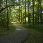 Pinnacle Mountain State Park Arkansas Kingfisher Trail