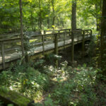 Pinnacle Mountain State Park Arkansas Kingfisher Trail